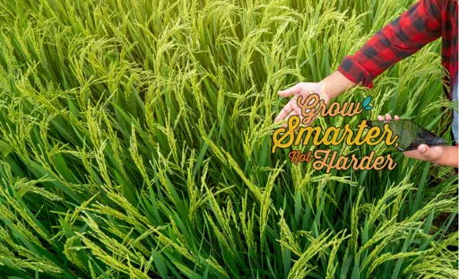 Grow smarter, not harder in Stony Plain 